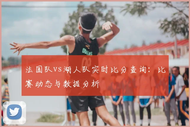 法国队vs湖人队实时比分查询：比赛动态与数据分析